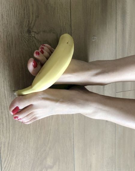 行尸走肉 第十二季_DVD全集免费观看