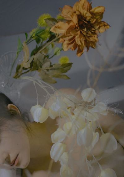 三级免费毛片_DVD视频大全