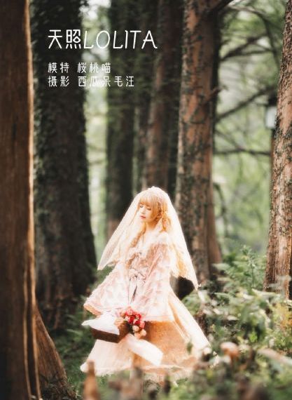 《误杀2》在线观看完整免费观看_1080P免费在线播放