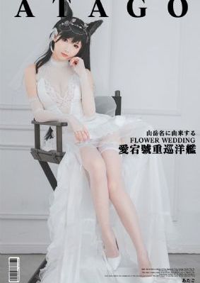 玫瑰故事的电视连续剧免费看_蓝光日本电影免费