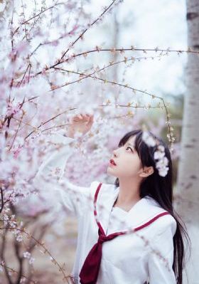 干美女在线观看_HD免费在线观看